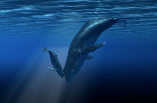 Virtual Reef [Ejemplo1]