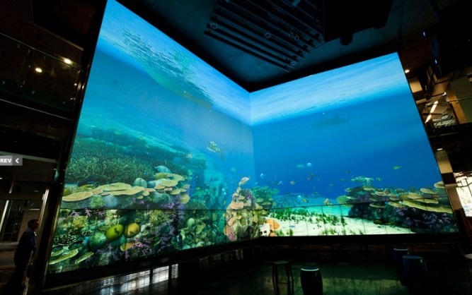 Virtual Reef [Ejemplo2]