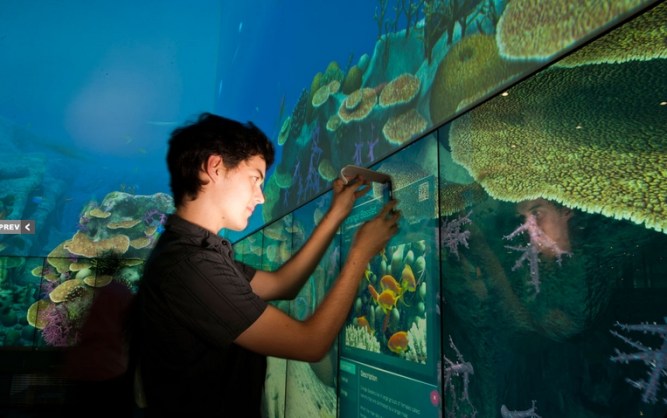 Virtual Reef [Ejemplo3]