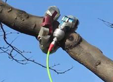 Serpiente Robótica 1